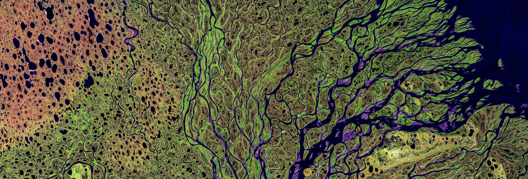 False-color aerial image of a braided river delta.