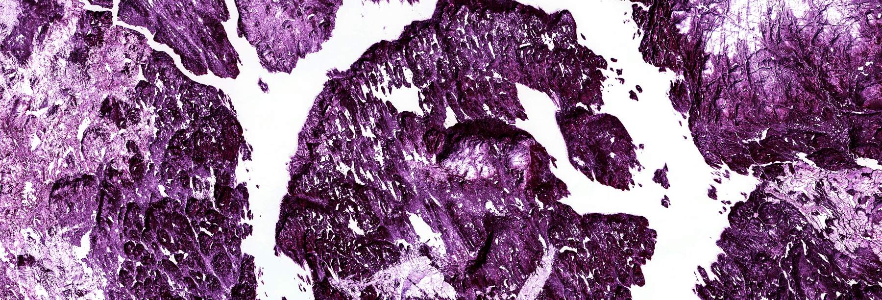 False-color aerial image of a circular ring structure in magenta terrain.